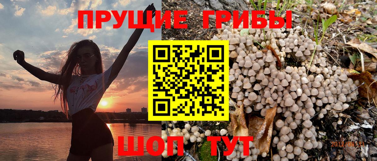 Галлюциногенные грибы ЛСД  продажа наркотиков  Зима  Псилоцибиновые грибы GOLDEN TEACHER  Вход с VPN 