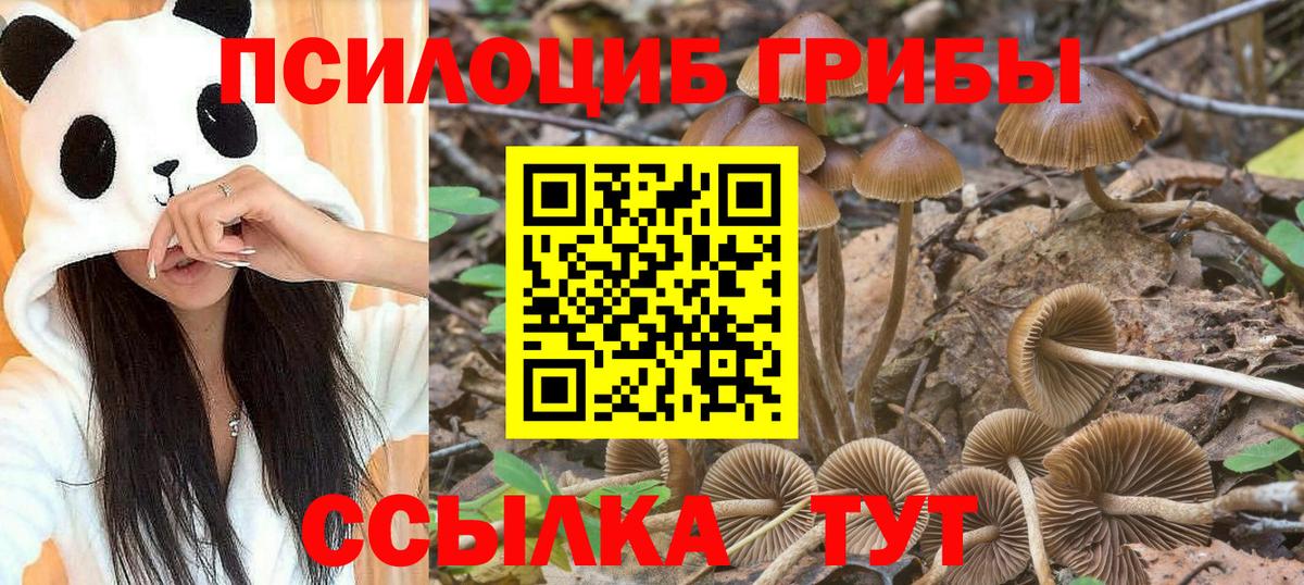 Псилоцибиновые грибы Magic Shrooms Зима
